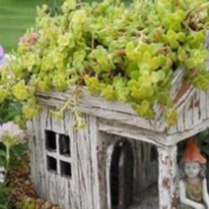 Wooden House Planter