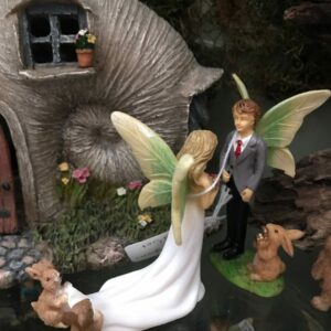 Alternative view of Fairy Bride and Groom