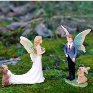 Fairy Bride and Groom