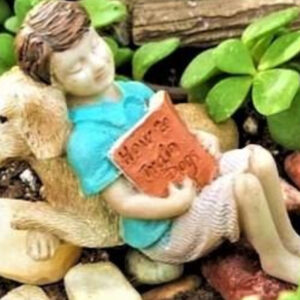 Davids Best Friend Fairy
