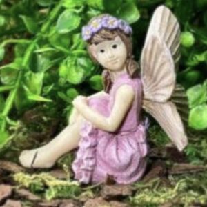 Fairy Heather