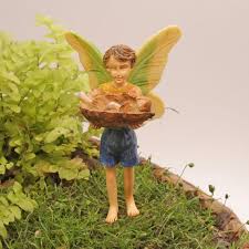 Mushroom Harvest - Fairy Danny