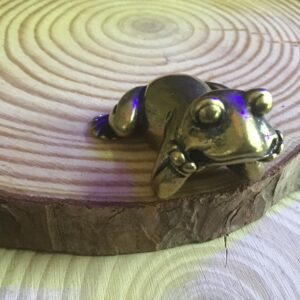 Alternative view of Frog Pose