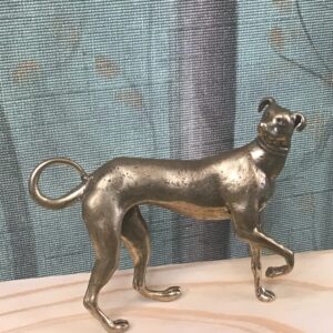 Greyhound
