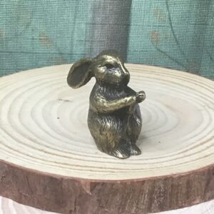 Bunny Holding Carrot
