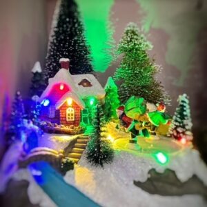 Mini Ice Skating Village